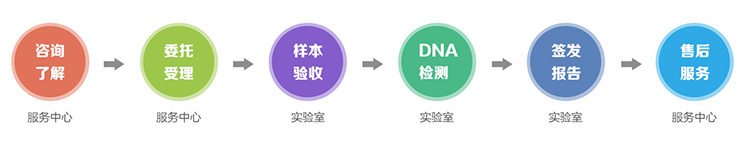 昆明隐私亲子鉴定流程